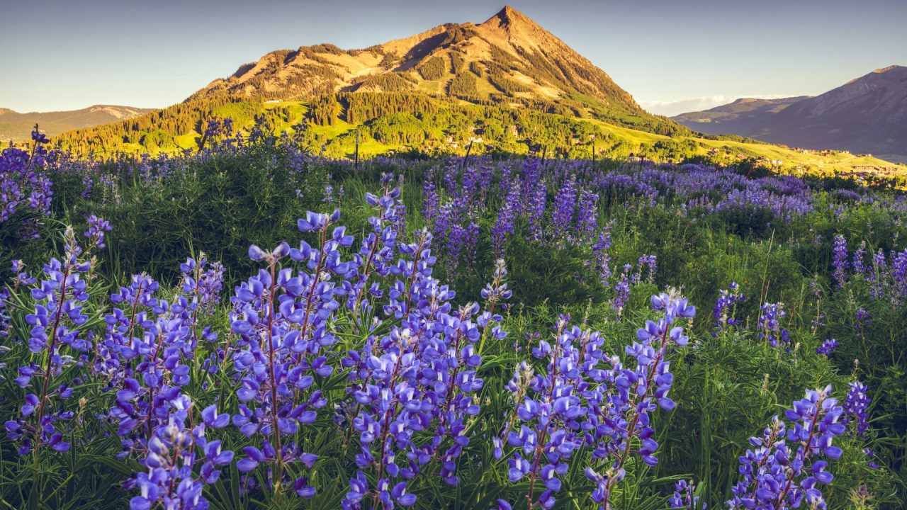 7 Cheapest Ways to Explore the United States